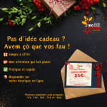 carte cadeau novelum 2024.jpg.PNG