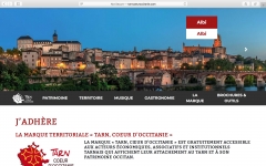 Capture écran Albi Coeur d'Occitanie.jpg